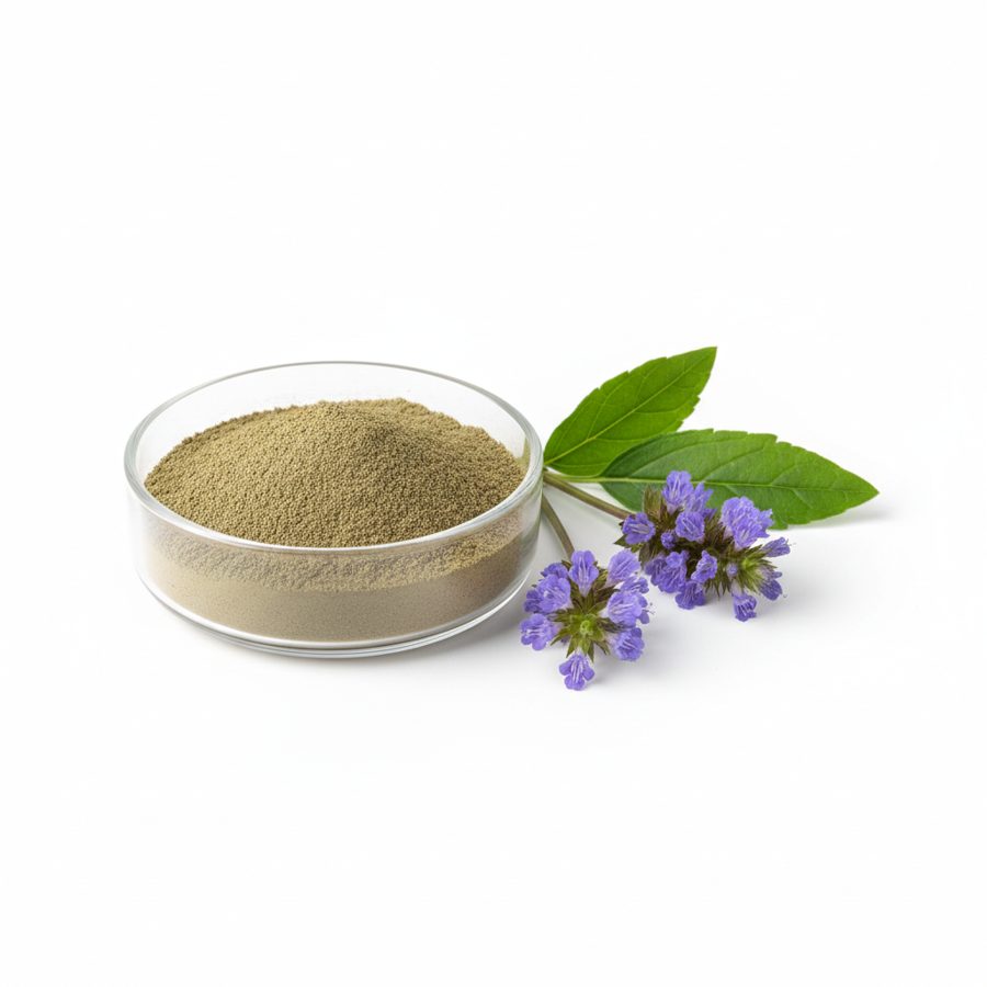 Экстракт Аюги Туркестанской (Ajuga Turkest Extract Powder)