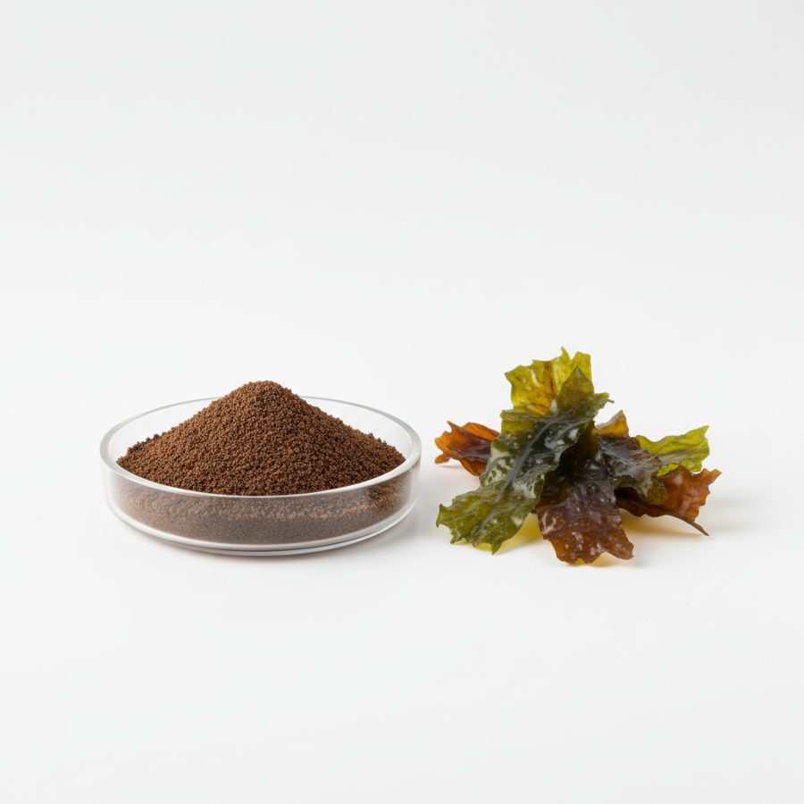 Экстракт бурых водорослей (Brown Seaweed Extract Powder)