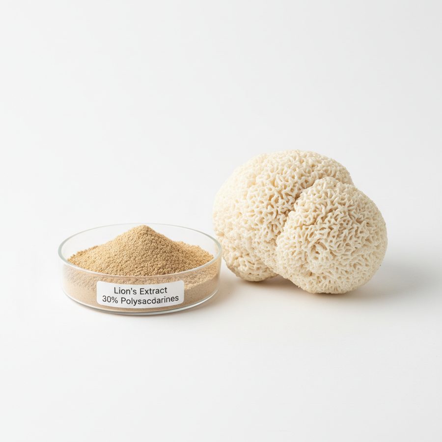 Порошок гриба Ежовик гребенчатый (Lion's Mane Mushroom Powder)