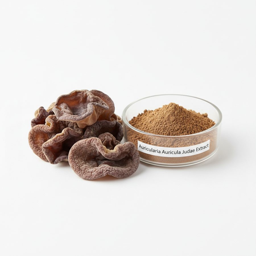 Аурикулярия Құлақтәрізді сығындысы (Auricularia Auricula Judae Extract)