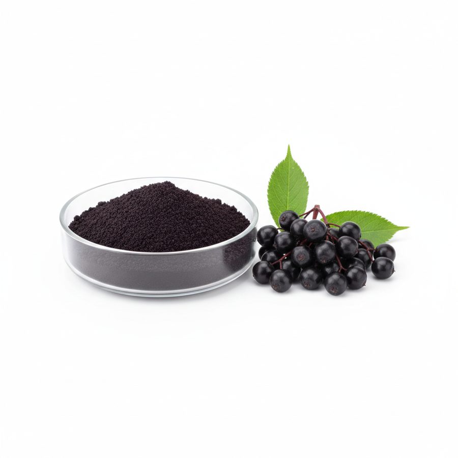 Black Elderberry Extract Powder (Sambucus nigra)