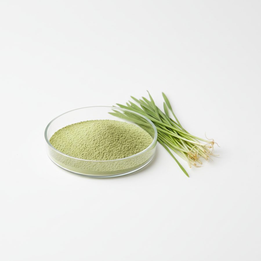 Порошок ростков ячменя (Hordeum vulgare)