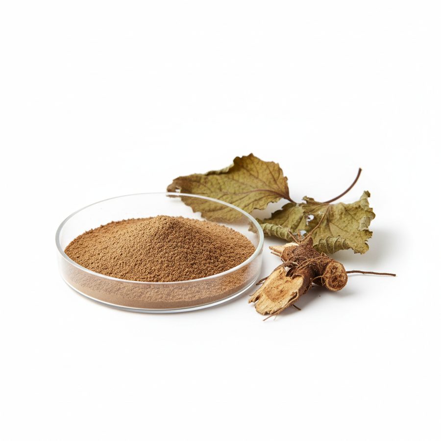 Forskolin Extract Powder