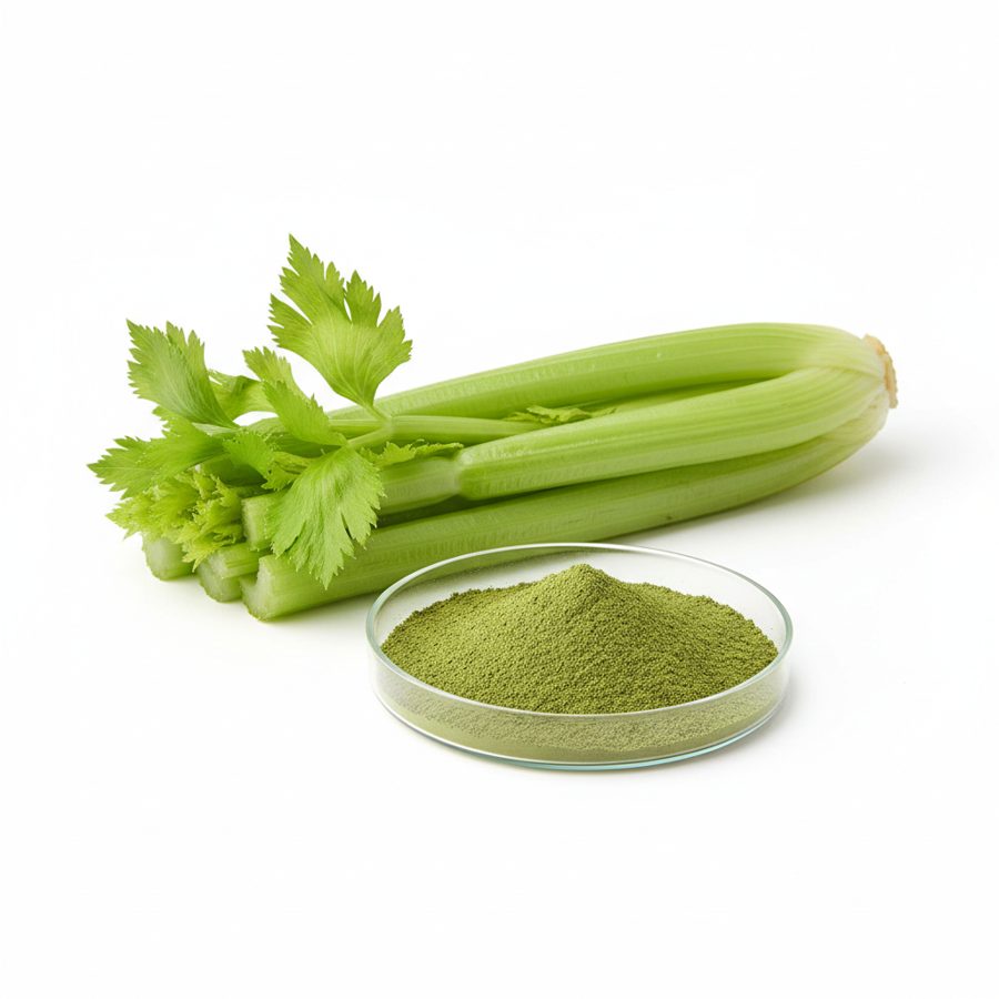 Порошок сока сельдерея (Celery Juice Powder)