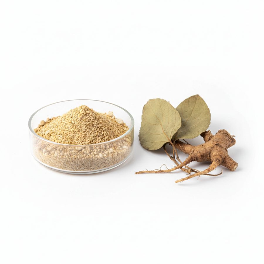 Coleus Forskohlii Extract Forskolin