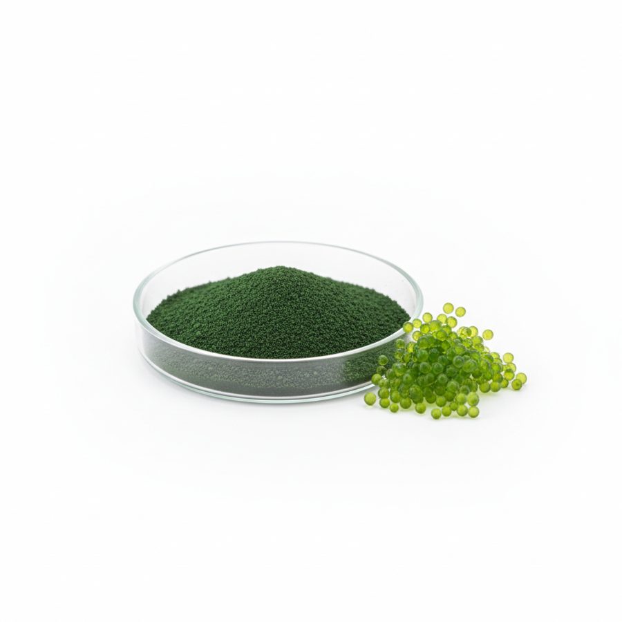 Хлорелла сығындысы (Chlorella) ұнтағы