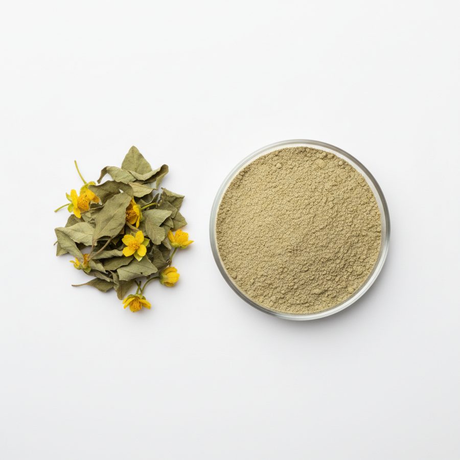 Дамиана жапырағы сығындысы (Damiana Extract)
