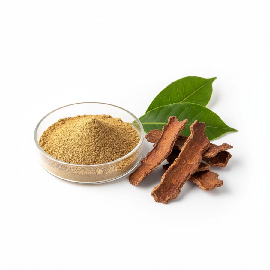 Эвкоммия вязолистной қабығының сығындысы (Eucommia Bark Extract)