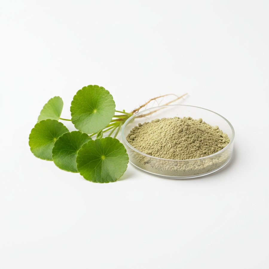 Экстракт центеллы азиатской (Centella Asiatica Extract)