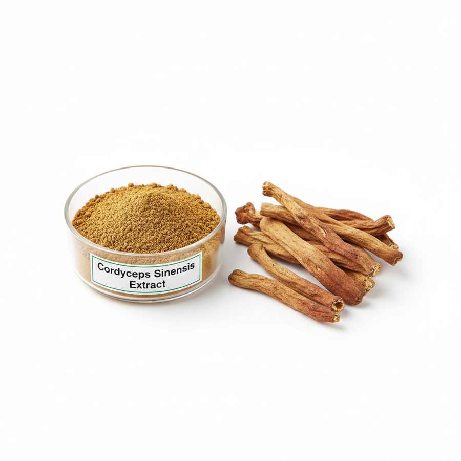 Органикалық Кордицепс қытай сығындысы (Organic Cordyceps Sinensis Extract)